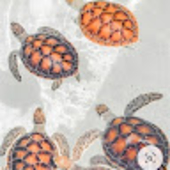 Meet your Posher, Grace - Picture 1 of 1